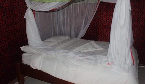 Traditional Tree House