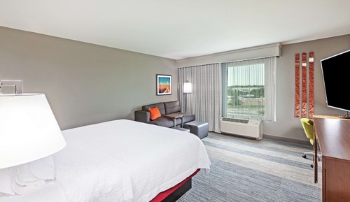 Room, 1 King Bed, Refrigerator