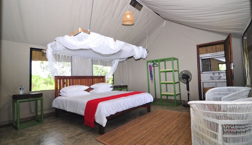 Standard Tent