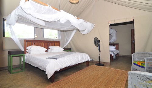 Family Tent