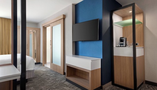 Suite, 1 King Bed with Sofa bed, City View (Mobility/Hearing Accessible, Tub)