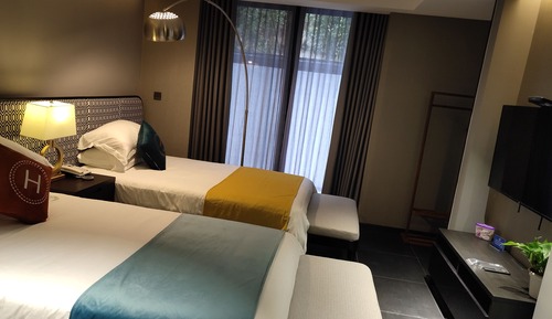 Superior Twin Room, Mountain View