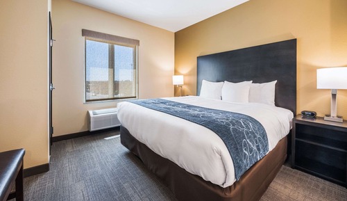 Suite, 1 King Bed with Sofa bed, Non Smoking