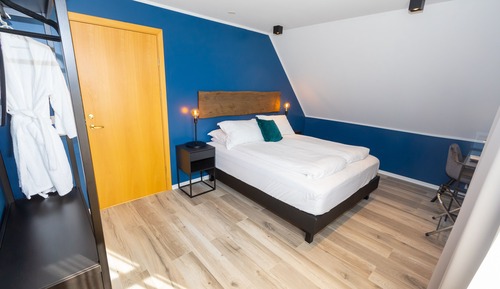 Deluxe Room, Mountain View