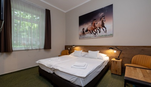 Standard Room, Garden View