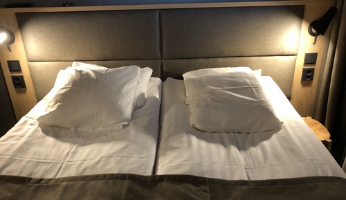 Basic Double or Twin Room