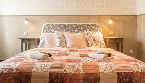 Comfort Room, 1 Double Bed