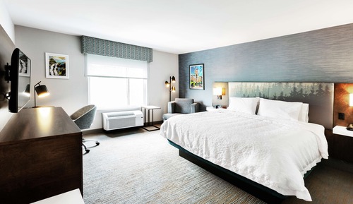 Room, 1 King Bed, Refrigerator