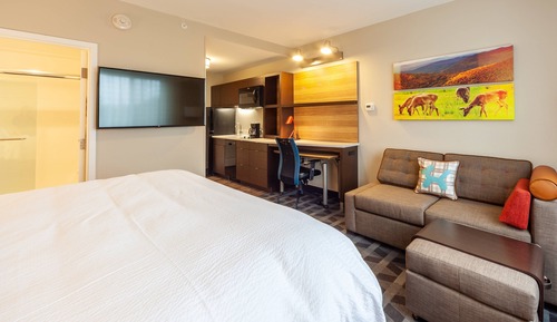 Studio, 1 King Bed with Sofa bed (Mobility/Hearing Access, Roll-In Shwr)