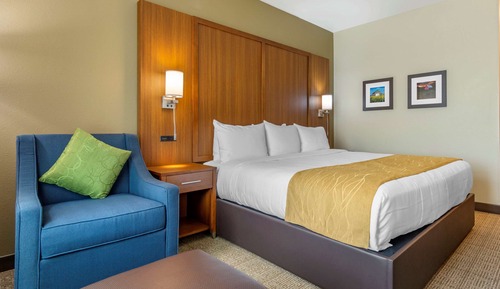 Standard Room, 1 King Bed, Non Smoking