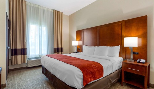 Suite, 1 King Bed with Sofa bed, Accessible, Non Smoking