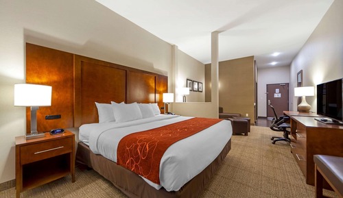 Room, 1 King Bed with Sofa bed, Accessible, Non Smoking (Interior Corridor)