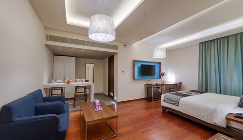 Business Suite, 1 King Bed