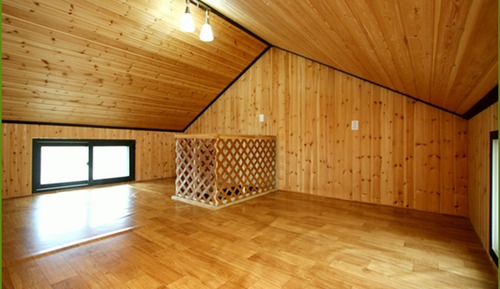 Duplex