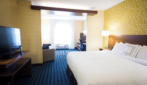 Suite, 1 King Bed with Sofa bed (Hearing Accessible)