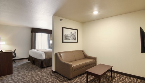 Studio, 1 King Bed with Sleeper Sofa, Non Smoking