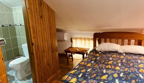 Basic Double Room