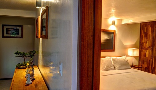 Eco - Deluxe Studio, Garden View