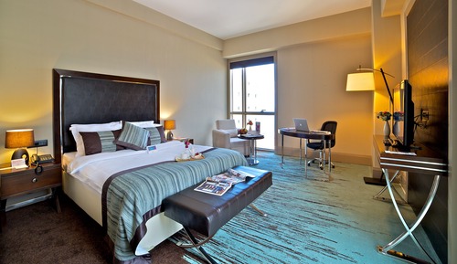 Room, 1 King Bed (Accessible)