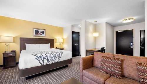 Efficiency King Suite with Sofa Bed - Fully Handicap - Non-Smoking