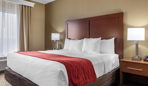 Suite, 1 King Bed with Sofa bed, Non Smoking