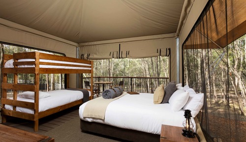 Family Eco Tent Ensuite + Entry to 4 Theme Parks