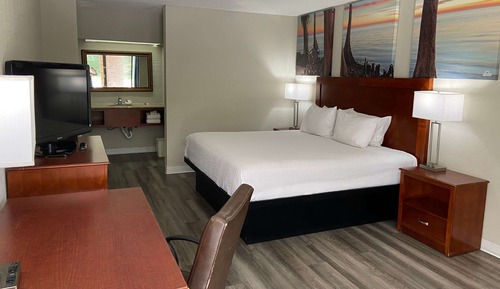 Room, 1 King Bed, Non Smoking