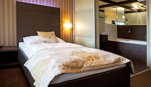 Deluxe Business Room with Terrace