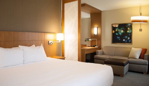 Single Room, 1 King Bed with Sofa bed (High Floor)