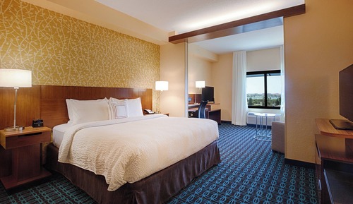 Suite, 1 King Bed with Sofa bed (Hearing Accessible)