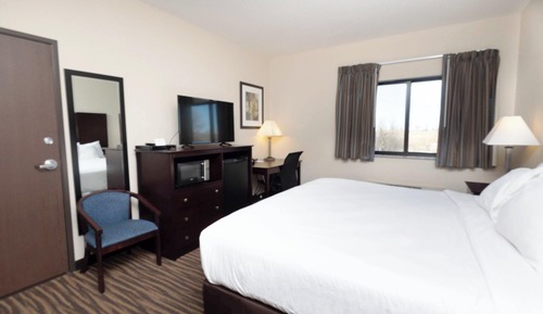 Room, 1 King Bed, Accessible, Non Smoking (Shower)