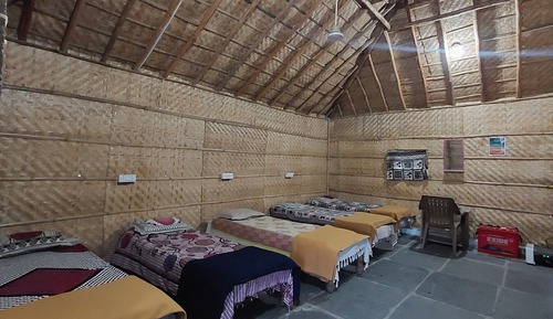 Elite Shared Dormitory