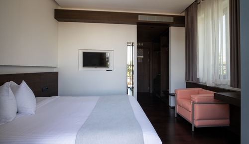 Superior Single Room