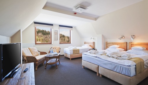 Standard Double Room (with extra bed)