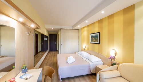 Standard Room, Mountain View