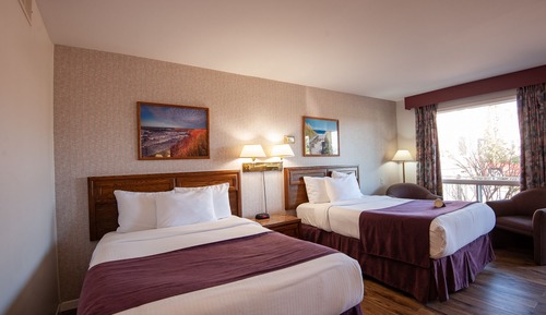 Standard Room, 2 Double Beds