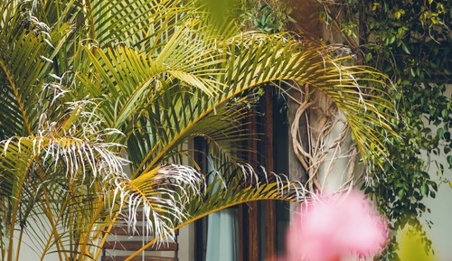 Deluxe Double or Twin Room, Ocean View, Ground Floor
