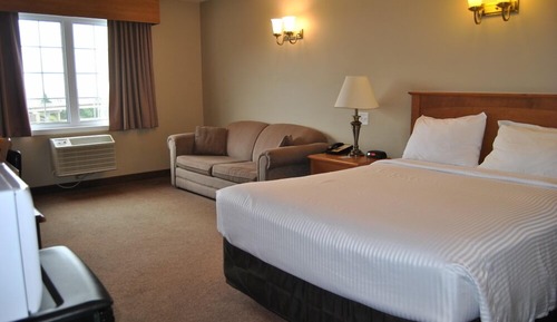 Standard Room, 1 Queen Bed with Sofa bed