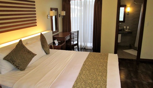 Business Suite, 1 King Bed