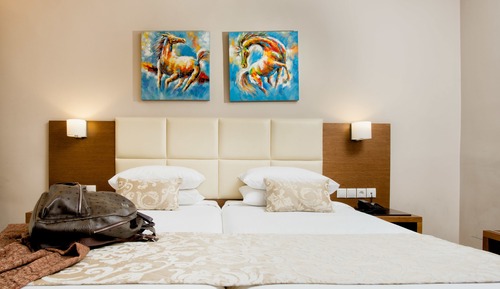 Superior Twin Room (disability access)