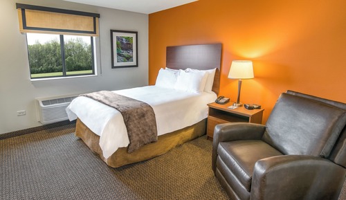 Room, 1 Queen Bed