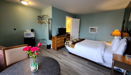 Double Room Single Use, 1 Double Bed