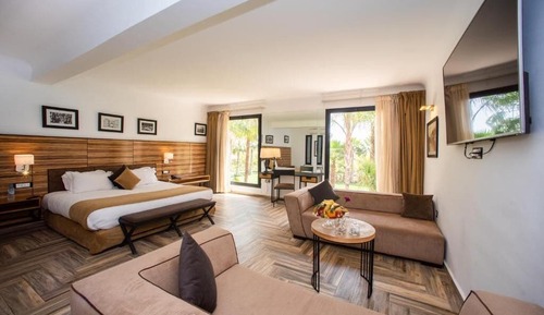 Suite Executive