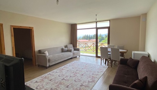 Basic Apartment