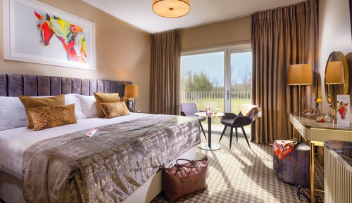 Standard Room, 1 King Bed, Terrace (Paddock View)