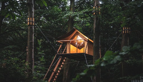 Tree House, Garden View