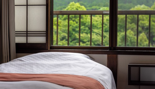 Panoramic Twin Room, Mountain View