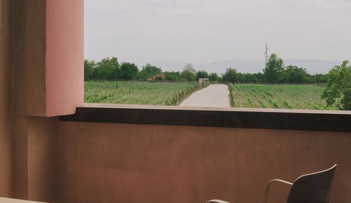 Deluxe Double or Twin Room, Vineyard View