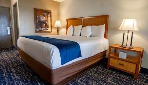 Single Room, 1 King Bed