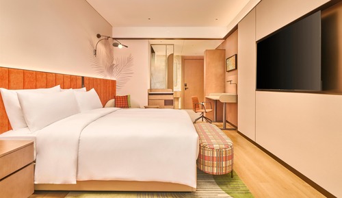 Room, 1 King Bed